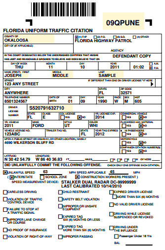 Florida State Traffic Information Winit